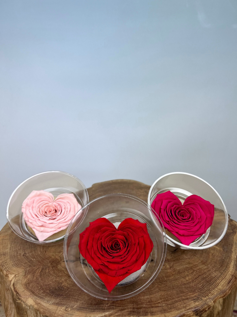 DIY | Longlife rozenkop | Hart - Fuchsia