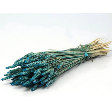 Tarwe 'petrol blauw' | gehele bos