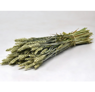 Tarwe 'naturel' | gehele bos