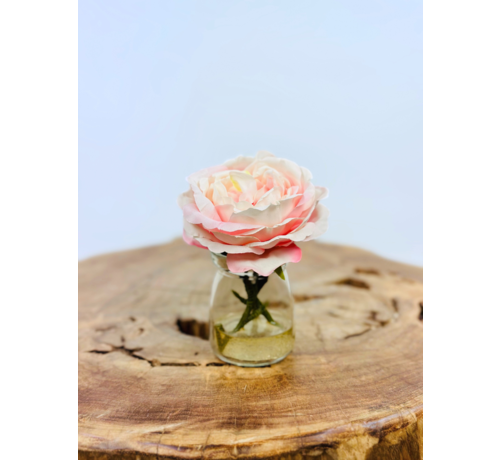 Zijdenroosje in vaasje | 11cm | Roze