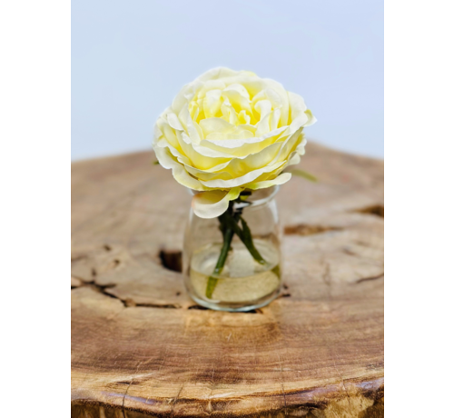 Zijdenroosje "wit" in vaasje | 11cm