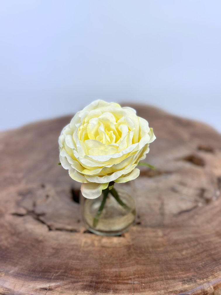 Zijdenroosje "wit" in vaasje | 11cm