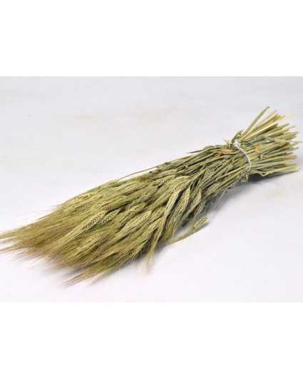 Gerst 'naturel' | gehele bos