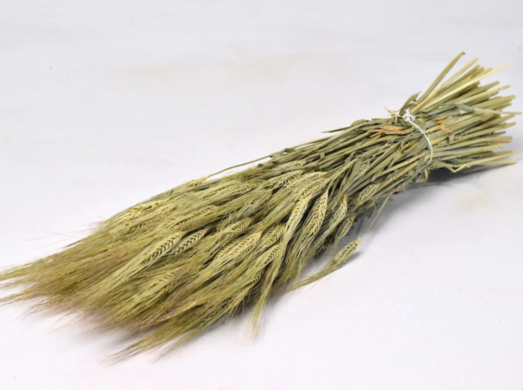 Gerst 'naturel' | gehele bos