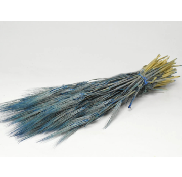 Gerst 'blauw' | gehele bos