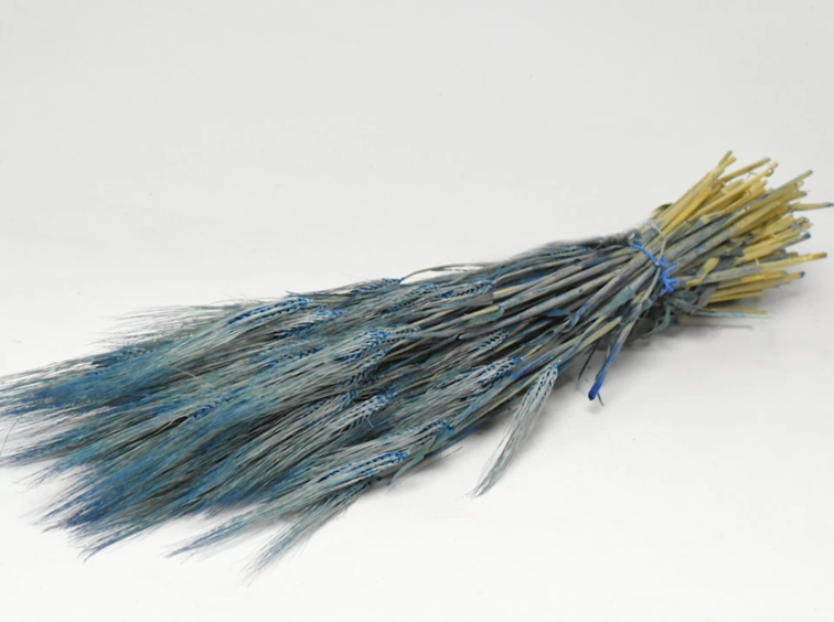 Gerst 'blauw' | gehele bos