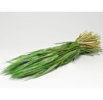 Gerst 'groen' | gehele bos