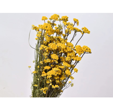 Lonas 'naturel' | gehele bos