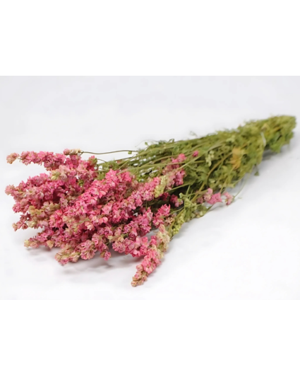 Delphinium 'roze' | gehele bos
