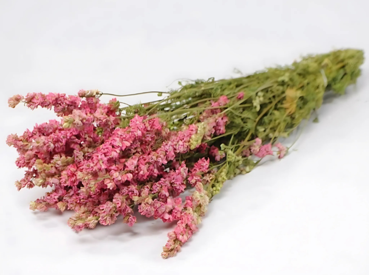 Delphinium 'roze' | gehele bos