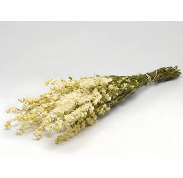 Delphinium 'wit'  | gehele bos