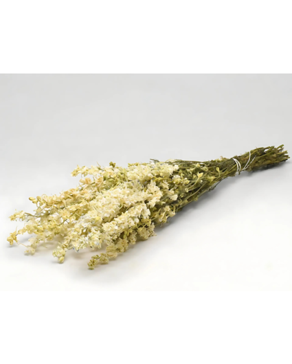 Delphinium 'wit'  | gehele bos