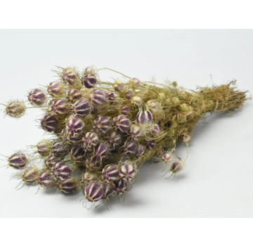 Nigella 'naturel' | gehele bos