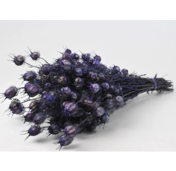 Nigella 'paars' | gehele bos