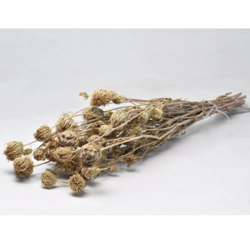 Venkel  'naturel' | gehele bos