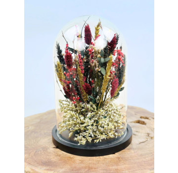 Droogbloemen in glazen stolp | Large | Bordeaux | ⌀ 17x25cm