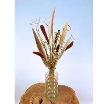 Droogboeket "Sweet Mocha" | 45cm - incl. vaas