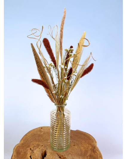 Droogboeket "Sweet Mocha" | 45cm - incl. vaas