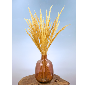 Droogbloemen boeket "Homely Feels" | 70cm