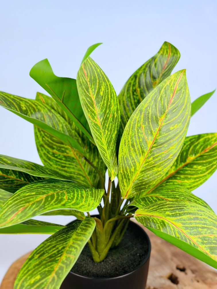 Kunstplant - Croton in pot - 38cm