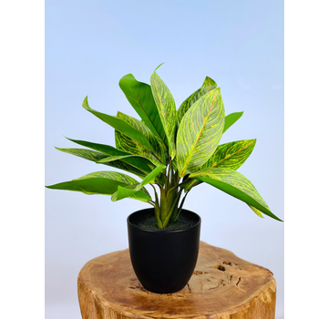 Kunstplant - Croton in pot - 38cm