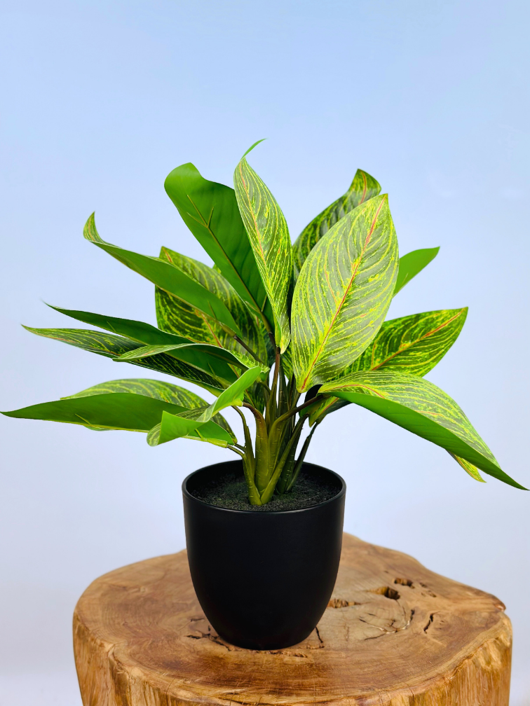 Kunstplant - Croton in pot - 38cm