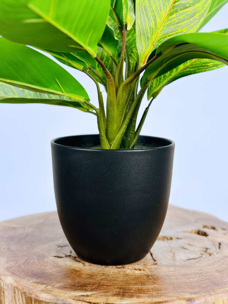 Kunstplant - Croton in pot - 38cm