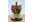 Bloemen in glas