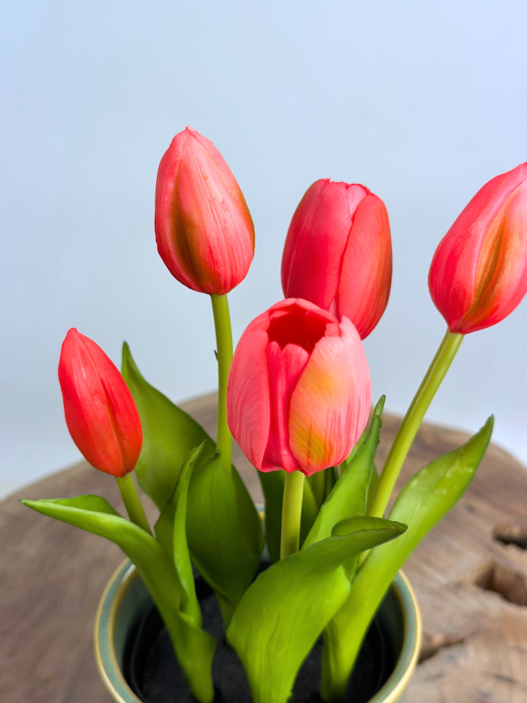 Kunst Tulpen - fuchsia (incl. groene pot) | 30cm