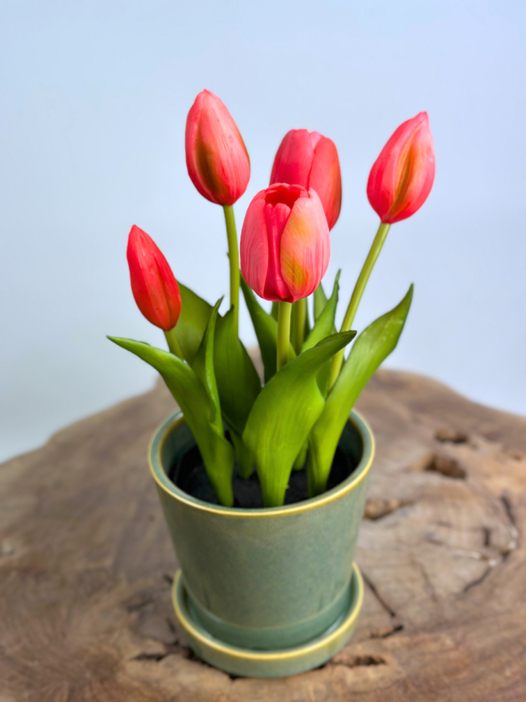 Kunst Tulpen - fuchsia (incl. groene pot) | 30cm