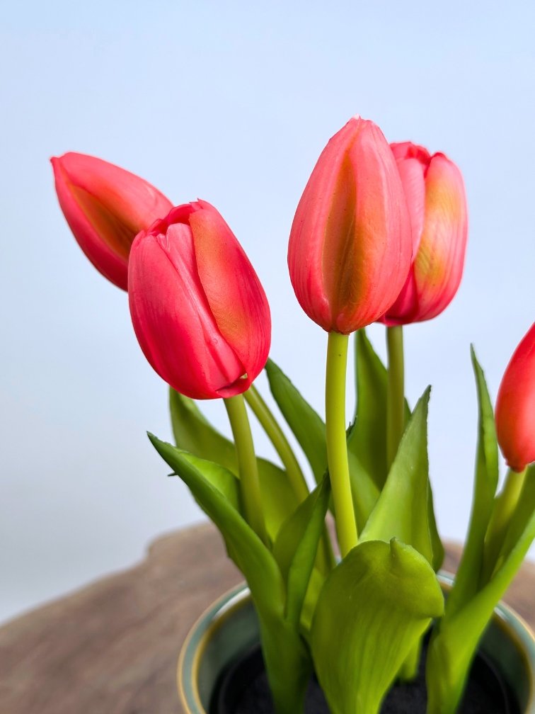 Kunst Tulpen - fuchsia (incl. groene pot) | 30cm
