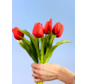 Kunst tulpen - rood | 7 stuks