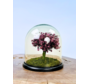 Stolp Tree of life  - Lilac