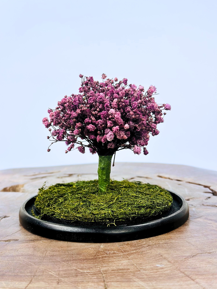 Stolp Tree of life  - Lilac