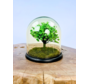 Stolp Tree of life  - Groen