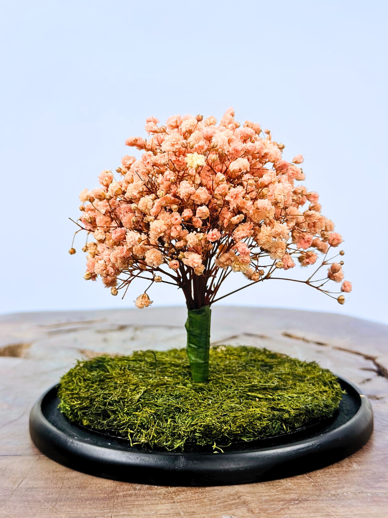 Stolp Tree of life  - Champagne