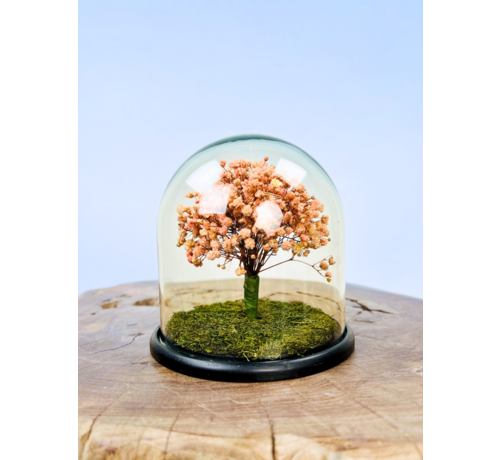 Stolp Tree of life  - Champagne