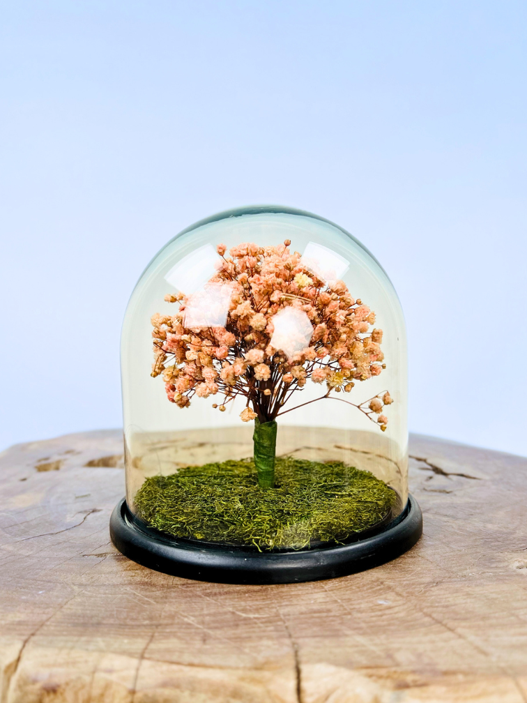 Stolp Tree of life  - Champagne