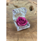 Longlife Roos in transparante "jewel" giftbox - meerdere kleuren