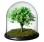 Stolp "Tree of life" - groen