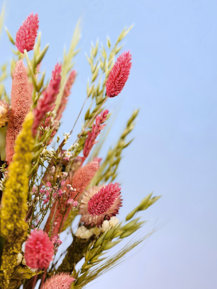 Droogbloemen boeket "Natural Pink small" incl. vaas | 45 cm