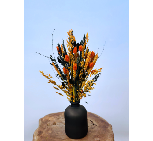 Droogbloemen boeket Pumpkin Spice - inclusief vaas | 40 cm