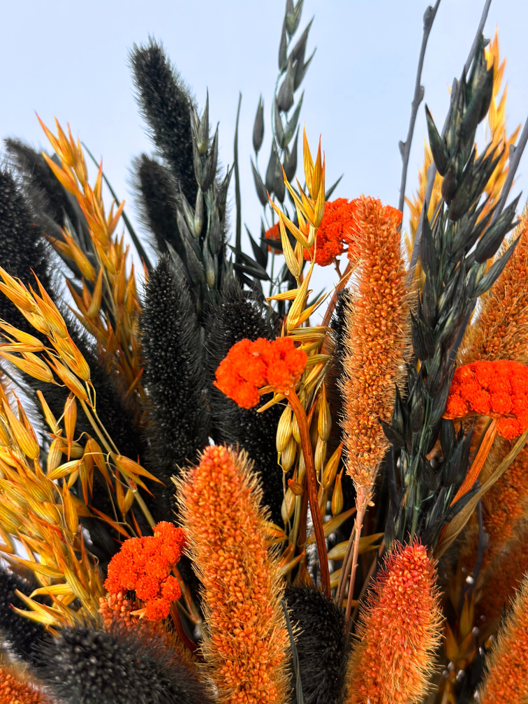 Droogbloemen boeket "Spooky Vibes" |  incl. vaas