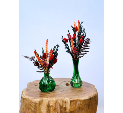 Droogboeketsetje "Glowing Fall Duo" - gehele set