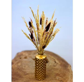 Droogboeket "Gouden Gloed" mini incl. vaas | 25cm