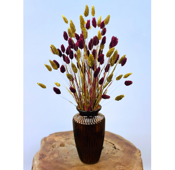Najaarsactie: "Raye's Flowers" incl. vaas