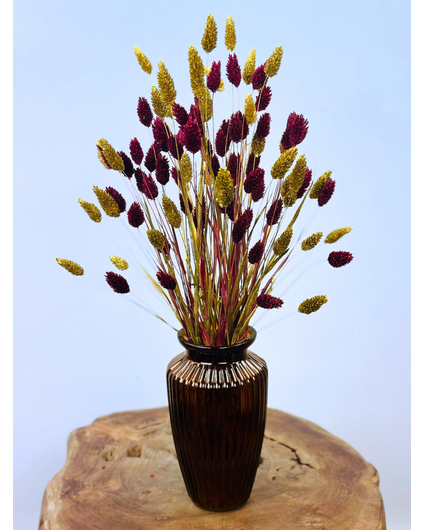 Najaarsactie: "Raye's Flowers" incl. vaas