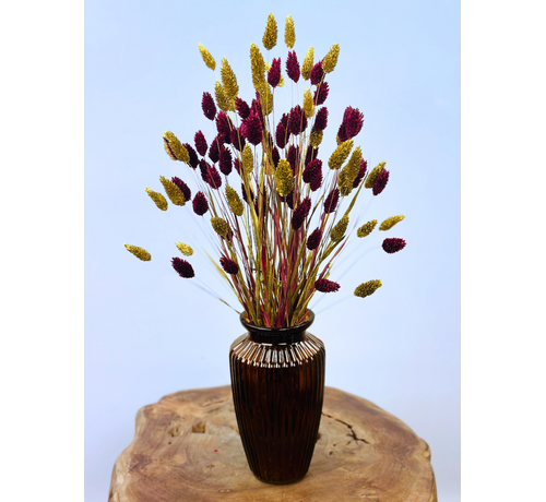Najaarsactie: "Raye's Flowers" incl. vaas