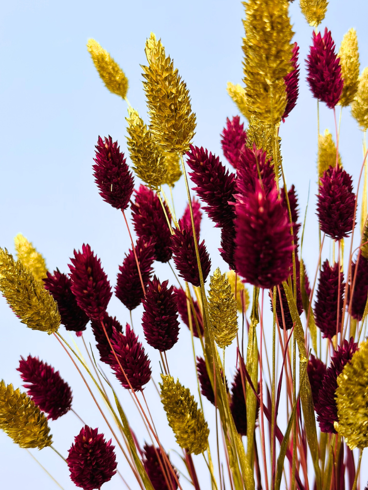 Najaarsactie: "Raye's Flowers" incl. vaas