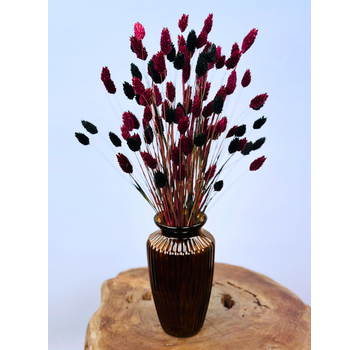 Najaarsactie: "Stefani's Flowers" incl. vaas